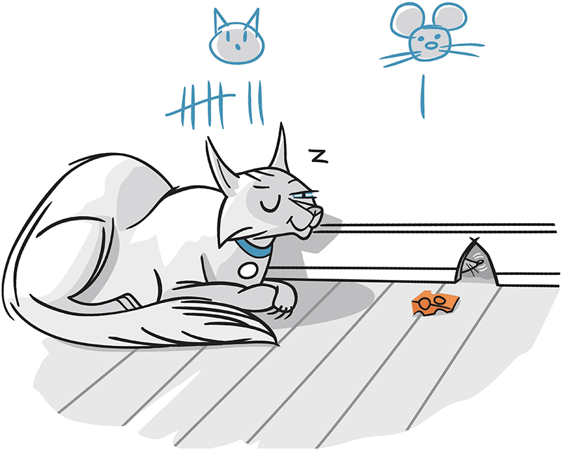 Cat hunts for mouse in the wall - using cheese as bait.